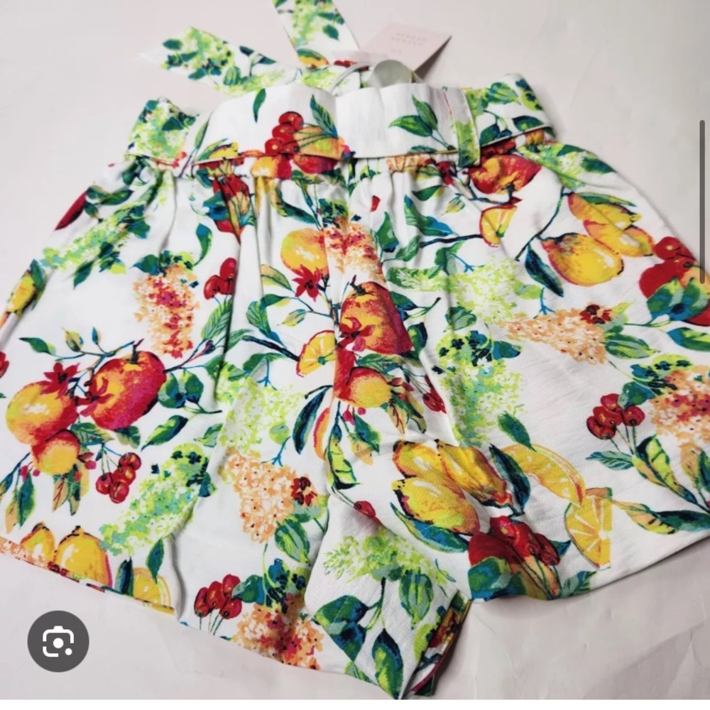 Lauren Conrad tie waist fruit print shorts.
Size L
